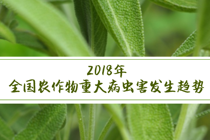 行業(yè)動(dòng)態(tài) | 2018年全國(guó)農(nóng)作物重大病蟲害發(fā)生趨勢(shì)